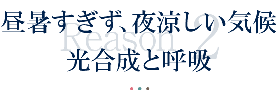 昼暑すぎず、夜涼しい気候光合成と呼吸