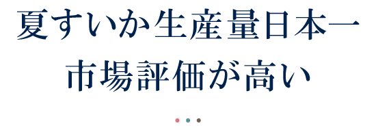 夏すいか生産量日本一市場評価が高い