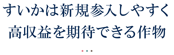 すいかは新規参入しやすく高収益を期待できる作物