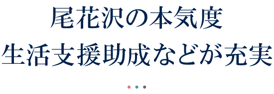 尾花沢の本気度生活支援助成などが充実